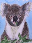 Koala-Portrait